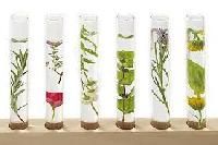 Cosmetic Raw Materials