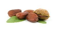 Jojoba Seed