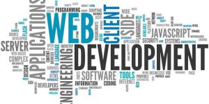 Website Development Service