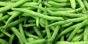 Fresh Beans