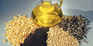 Oil Seeds