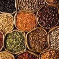 Food Grain Pulses