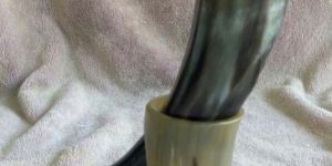 Drinking Horn with Horn Stand
