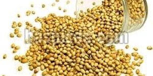 Coriander Seeds