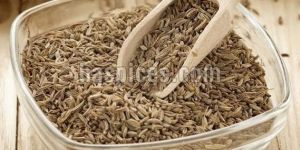 Cumin Seeds