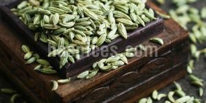 Fennel Seeds