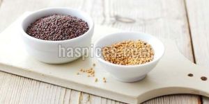 Mustard Seeds