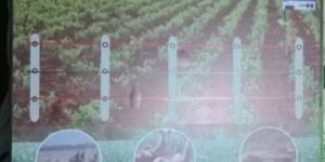 Solar Fencing System