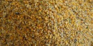 Guar Korma