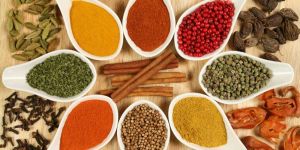 Indian Spices
