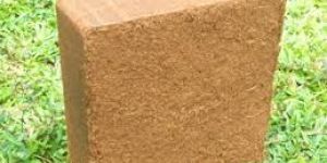 Coir Pith