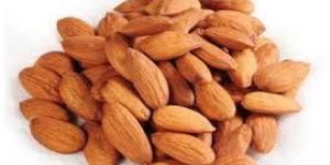 Almond Kernels