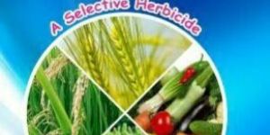 2 4 D AMINE SALT 58% SL