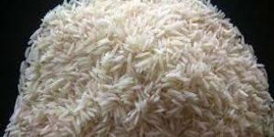 Non Basmati Rice