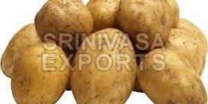 Fresh Potato