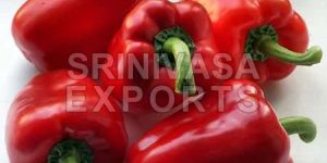 Fresh Red Capsicum