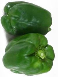 Hybrid Super Florida F1