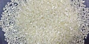 100% Broken Rice