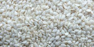 Hulled White Sesame Seeds