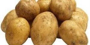 Fresh Potato