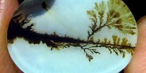 Dendritic Agate