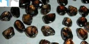 Natural Dark Brown Crystal Diamonds