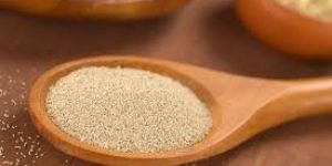 Bakery Yeast