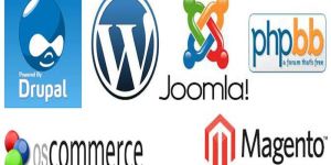 Web Development Services