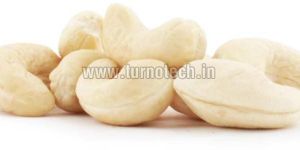 Cashew Nuts