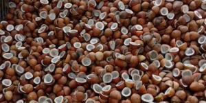 Coconut Copra