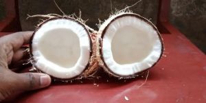 Fresh Coconut