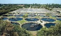 Biological Treatment Plants