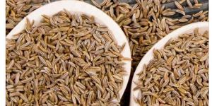 Cumin Seed