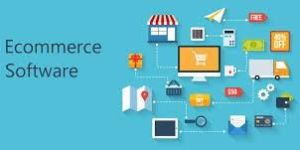 Ecommerce Application Development Services