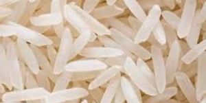Basmati Rice