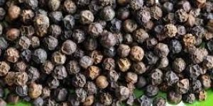 Black Pepper