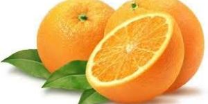 Fresh Citrus Orange