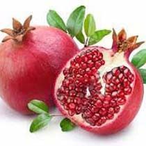Pomegranate