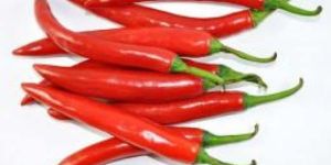 Fresh Red Chilli