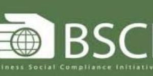 Social Compliance Auditing