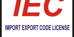 Export Import License