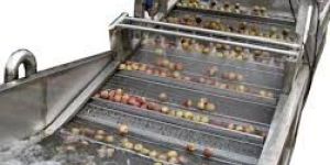 Fruit & Vegetable Washer