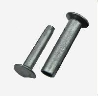 Stainless Steel Rivet