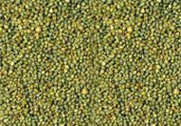 Green Millet Bird Seeds