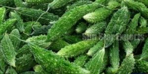 Fresh Bitter Gourd
