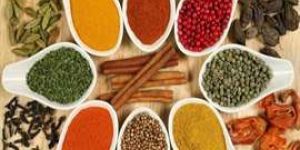 Indian Spices