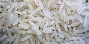 IR 36 Broken Rice