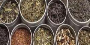 Indian Tea