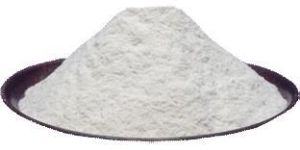 Dehydrated White Onion Powder