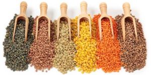 Indian Pulses